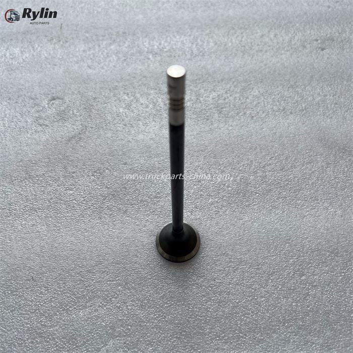 FAW engine exhaust valve 1007016B36DC