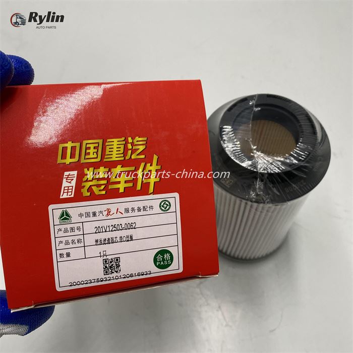 Fuel Filter 201V12503-0062
