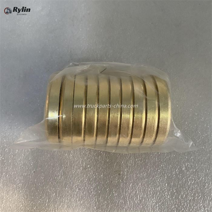Engine Shacman Bowl Plug 190003989210